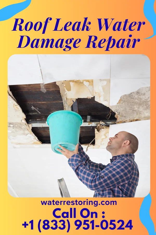 Roof Leak Water Damage Repair in Livermore, KY