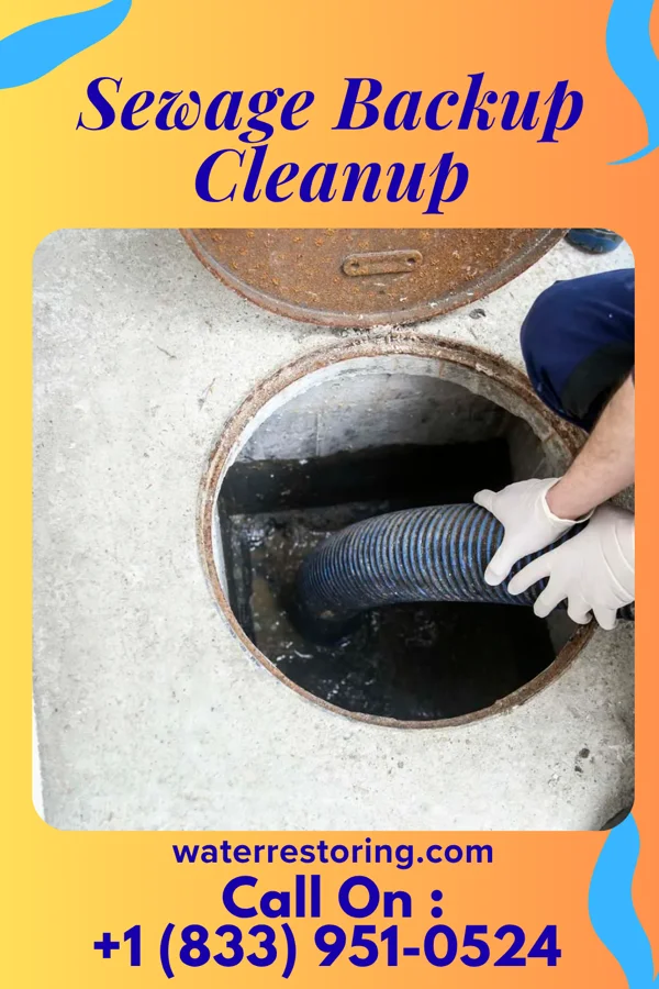 Sewage Backup Cleanup in Livermore, KY