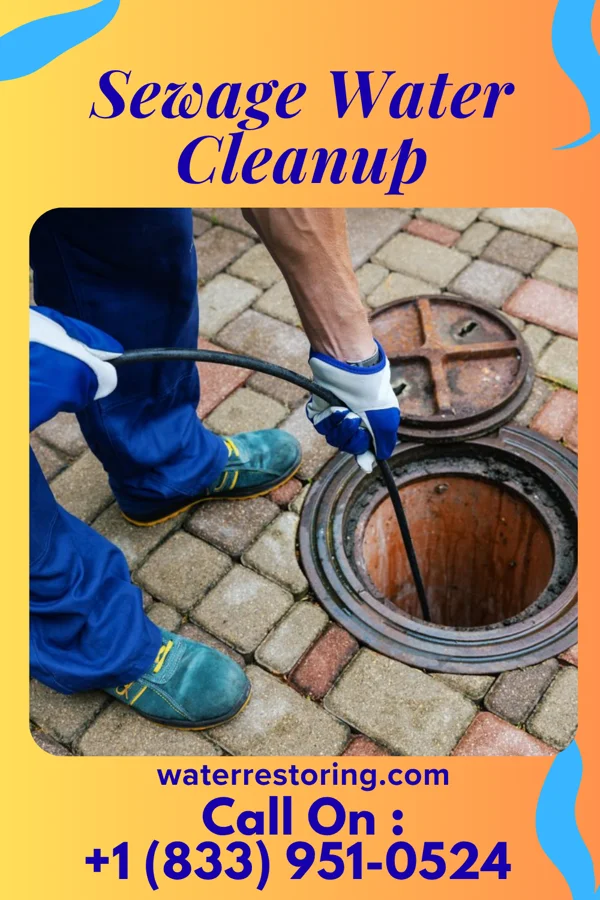 Sewage Water Cleanup in Livermore, KY
